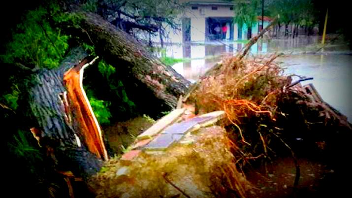 Una fuerte tormenta de viento y lluvia causó daños en Mackenna.