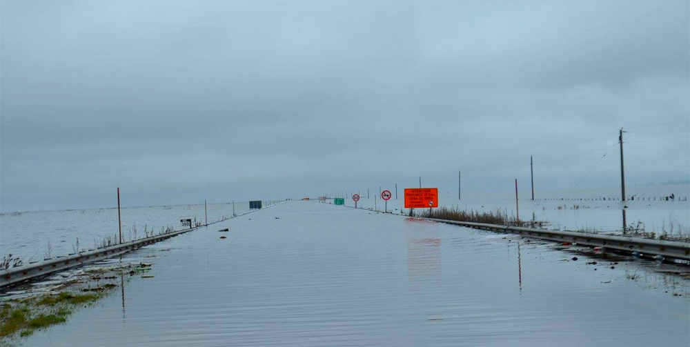 La Picasa no detiene su andar y devora todo a su paso.