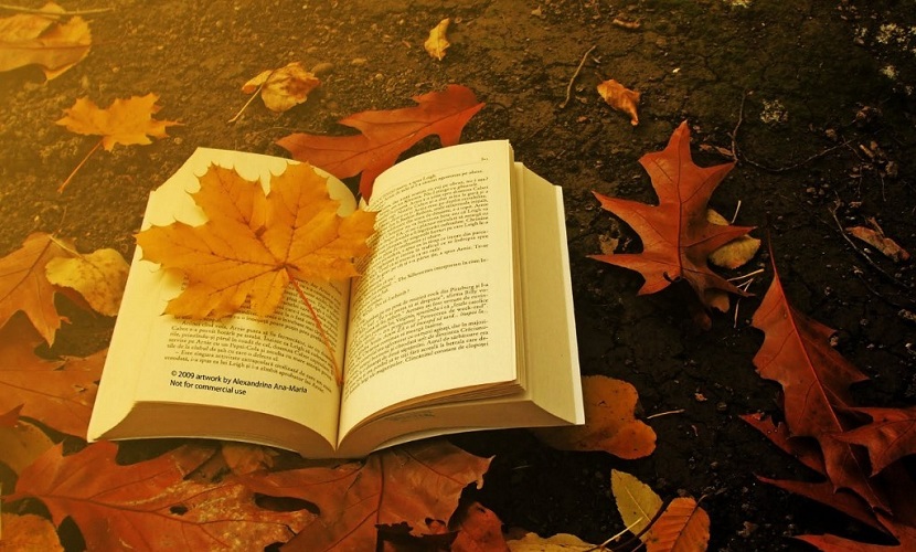 El Ciclo 10 X 10 continúa en el Salón del Concejo Deliberante.