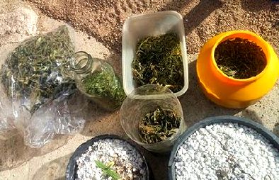 Allanan una vivienda en Mackenna y secuestran droga y elementos robados.