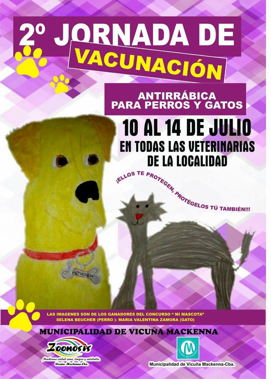 Campaña Antirrábica; Segunda etapa.