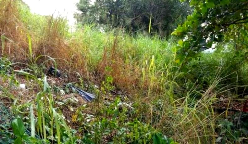 Desmalezado de terrenos baldíos.