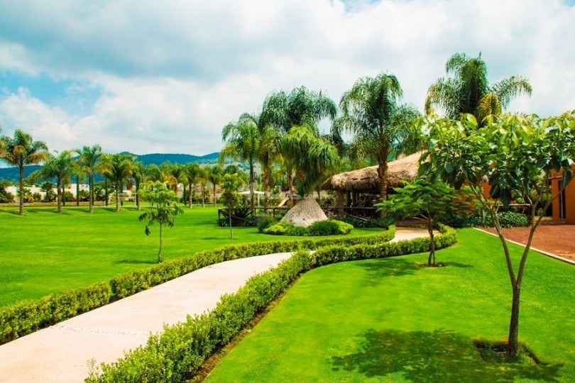 Interesante Curso de Poda y Arbolado Urbano.