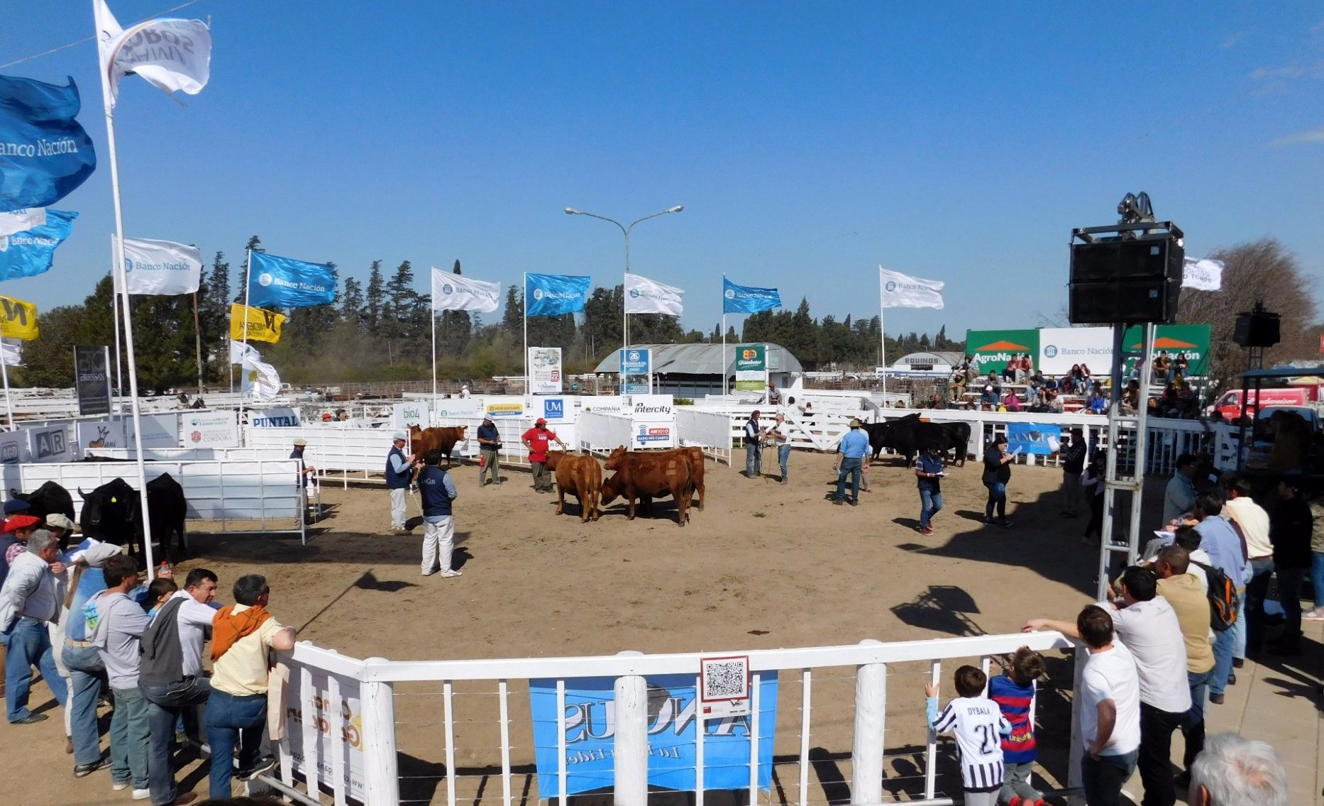 Con frío, viento y lluvia concluyó la 83º Expo Ganadera de Río Cuarto.