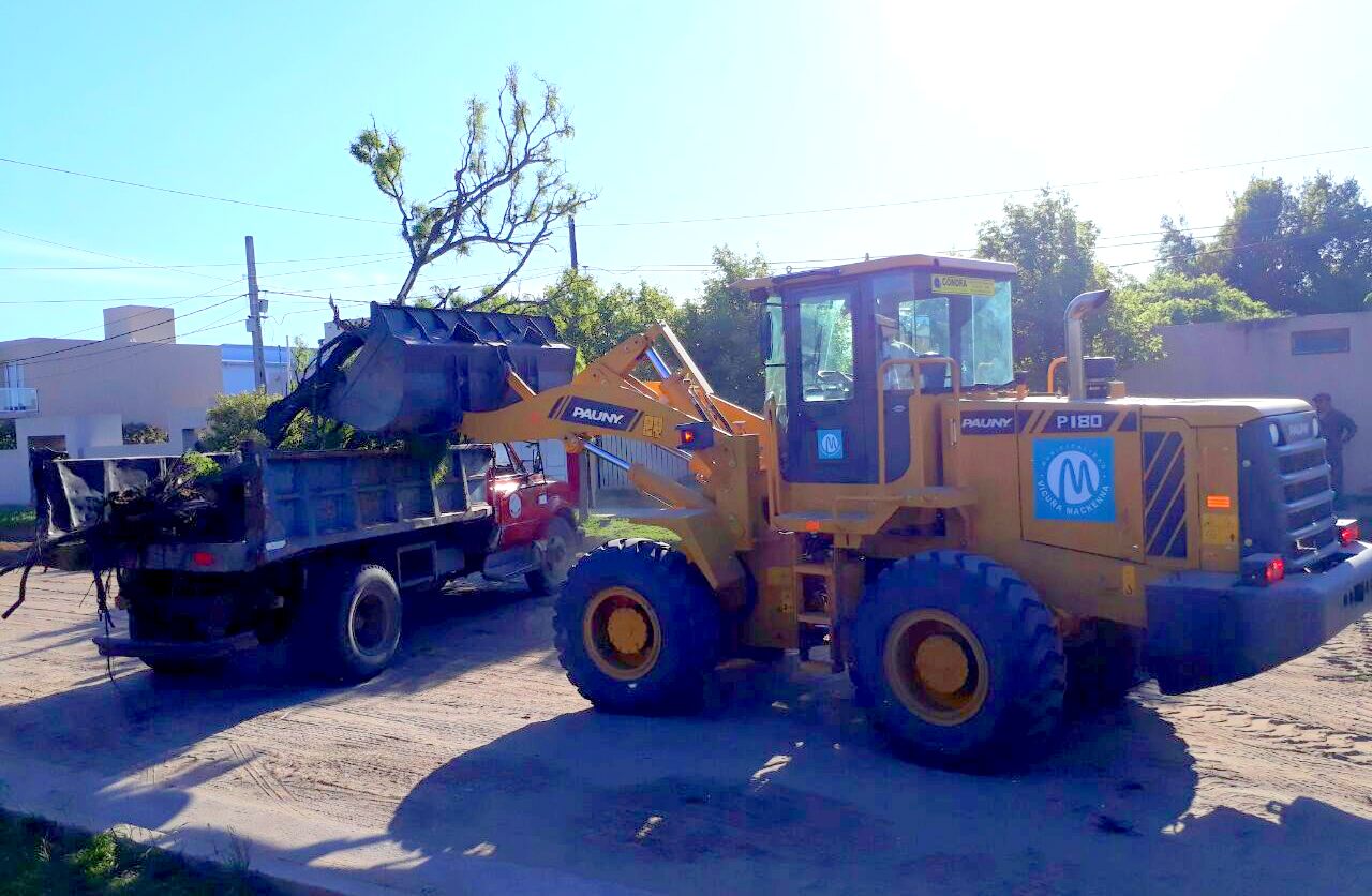 Desmalezado de terrenos baldíos