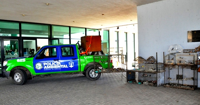 Policía Ambiental secuestro 280 aves silvestres