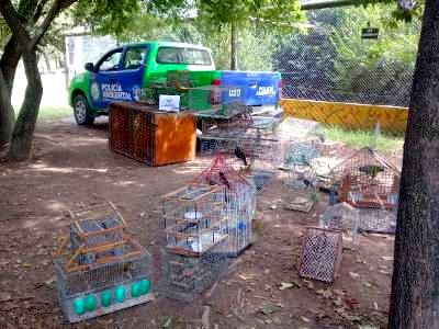Policía Ambiental secuestró 72 aves en Río Cuarto