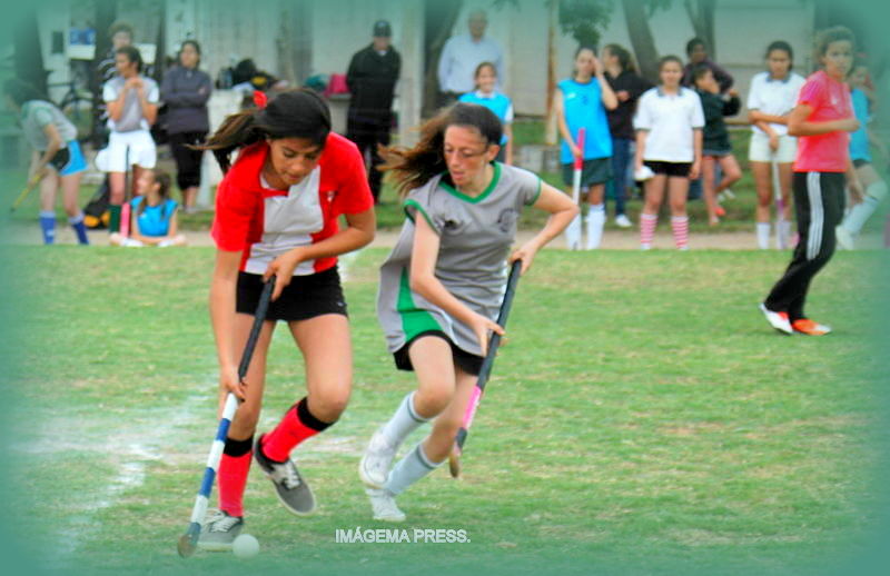 La Dirección Municipal de Deportes, se pone en movimiento