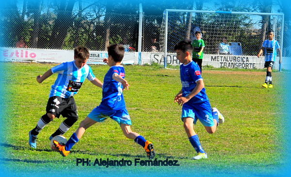 Este Sábado comienza el Torneo Formativo de la LRFRC
