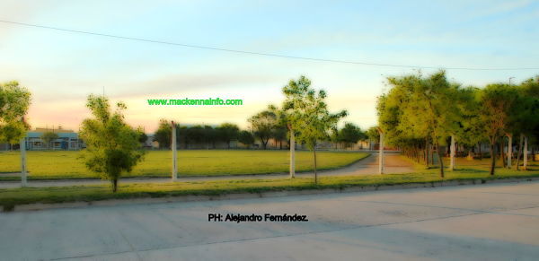 En el sector Este de la Pista de Atletismo se construirá la nueva Escuela PROA