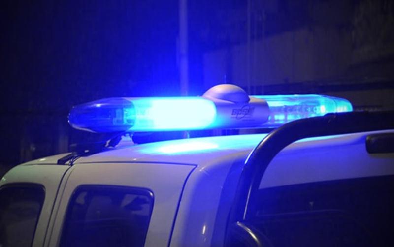 Cinco policías resultaron heridos al chocar su auto contra dos caballos