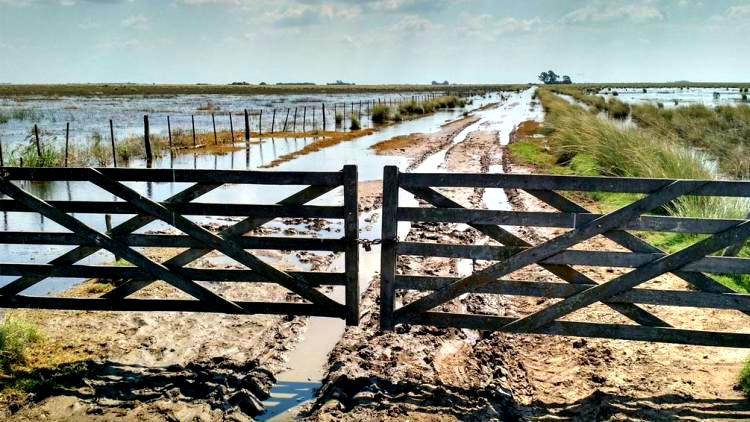 Schiaretti lanzó el programa de pavimentación y mejora de caminos rurales