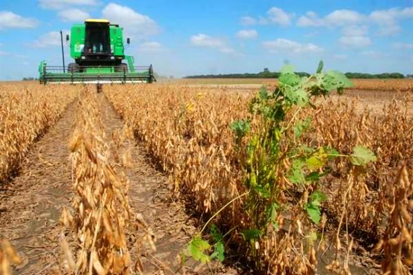 Emergencia Agropecuaria: vence el plazo para declaraciones juradas