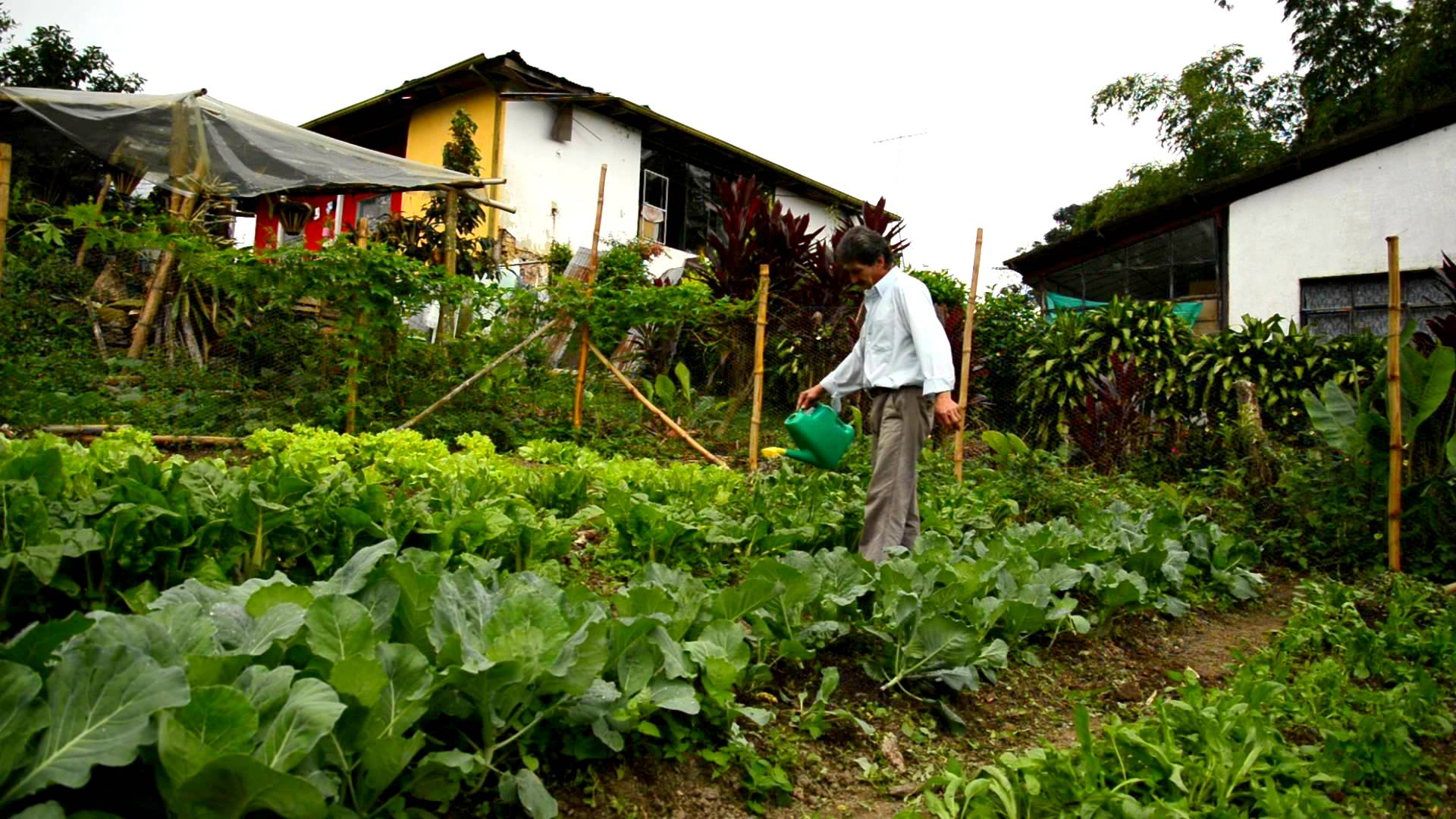 Llegó el tiempo de preparar la huerta