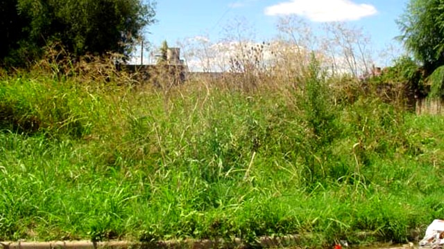 Relevamiento de terrenos baldíos