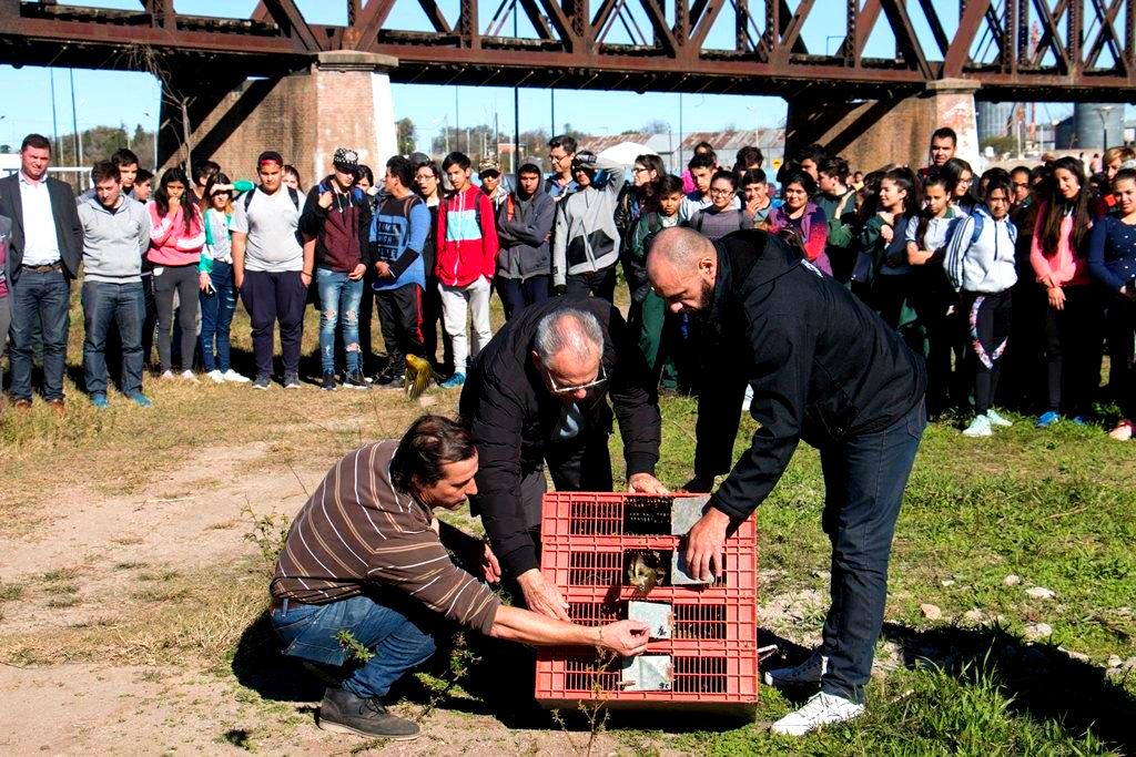 Semana del ambiente: Policía Ambiental realizó una suelta de aves