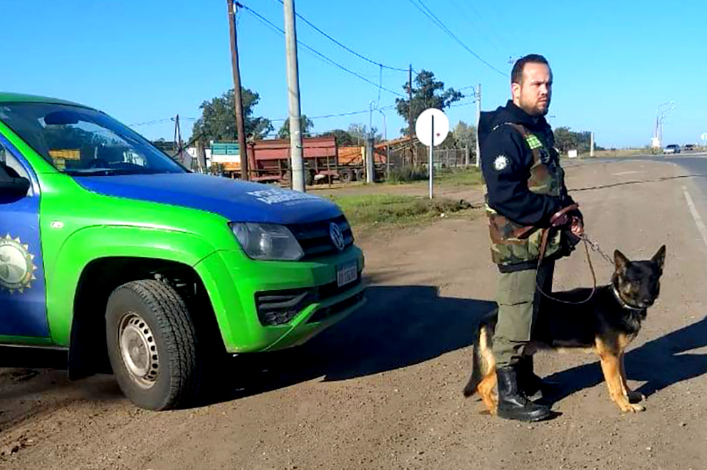 Intensos controles de caza y pesca en el norte y sur de la provincia