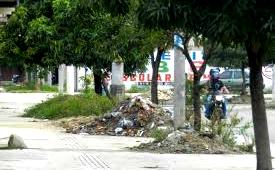 Residuos verdes y voluminosos