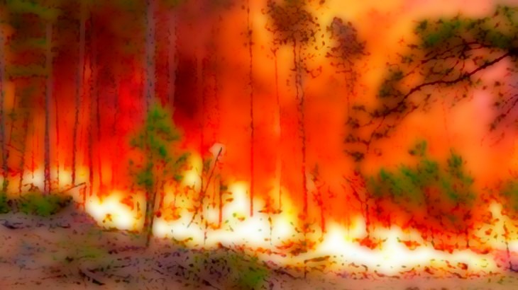 Persisten las condiciones de riesgo alto de incendios en toda la provincia