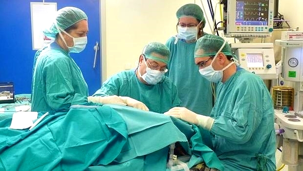 Personal sanitario podrá trasladarse gratuitamente
