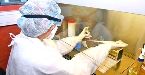 CORONAVIRUS: El municipio de Mackenna informa que hasta el momento no existen casos positivos
