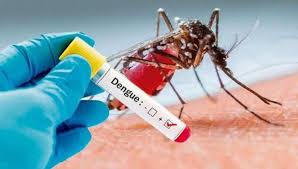PREVENCIÓN DEL DENGUE: Segunda etapa de fumigación
