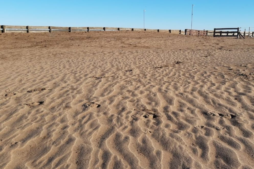 Operativo por erosión en un campo del sur provincial