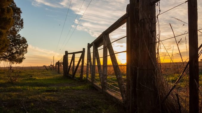 Covid-19: se conformó comité para protocolos en la cadena agroalimentaria