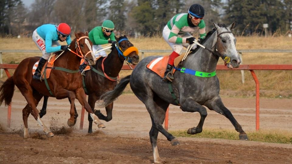 Con singular éxito, volvió el turf al Hipódromo de la ciudad de Río Cuarto