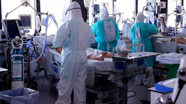En Mackenna confirman 5 nuevos casos de COVID positivo; suman 19 en total con dos muertes