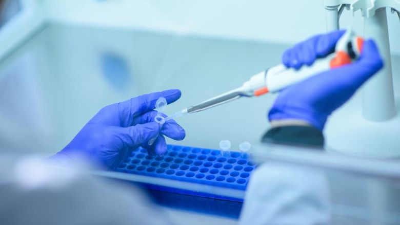 Mackenna registró 4 nuevos casos positivos de COVID- 19, en total suma 241 desde el inicio de la pandemia