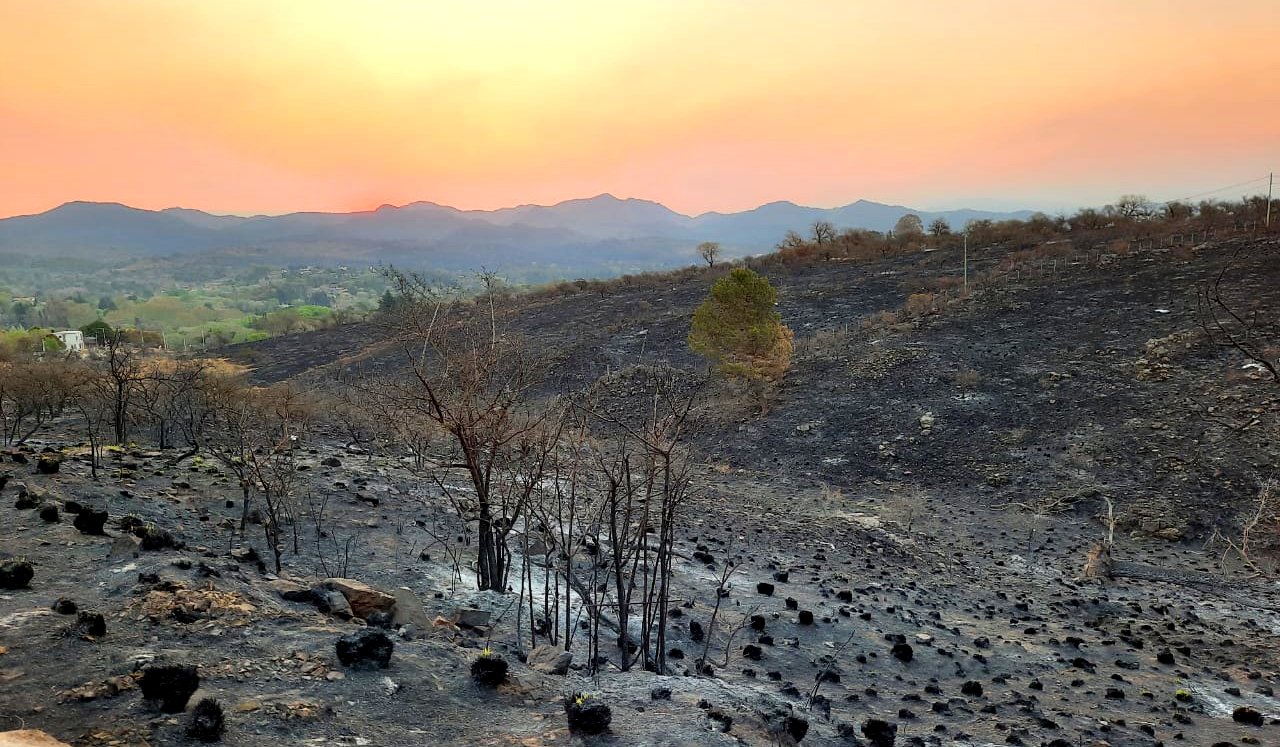 Incendios: quedó conformada la Mesa Interinstitucional Alpa Corral