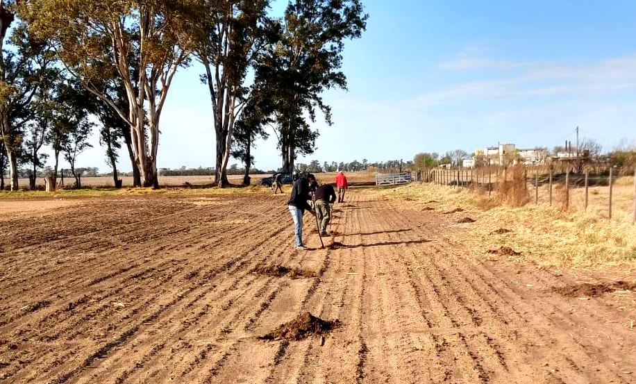 Zonas Periurbanas: cortinas forestales para cuatro localidades 