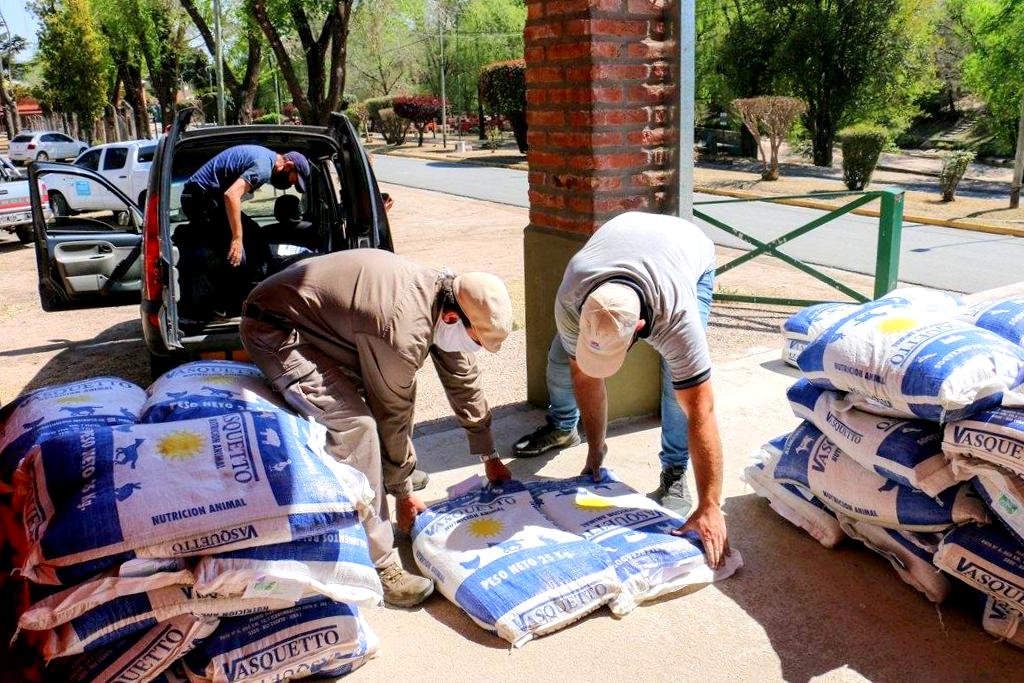 Incendios: operativos de entrega de balanceado, aportes y boyeros