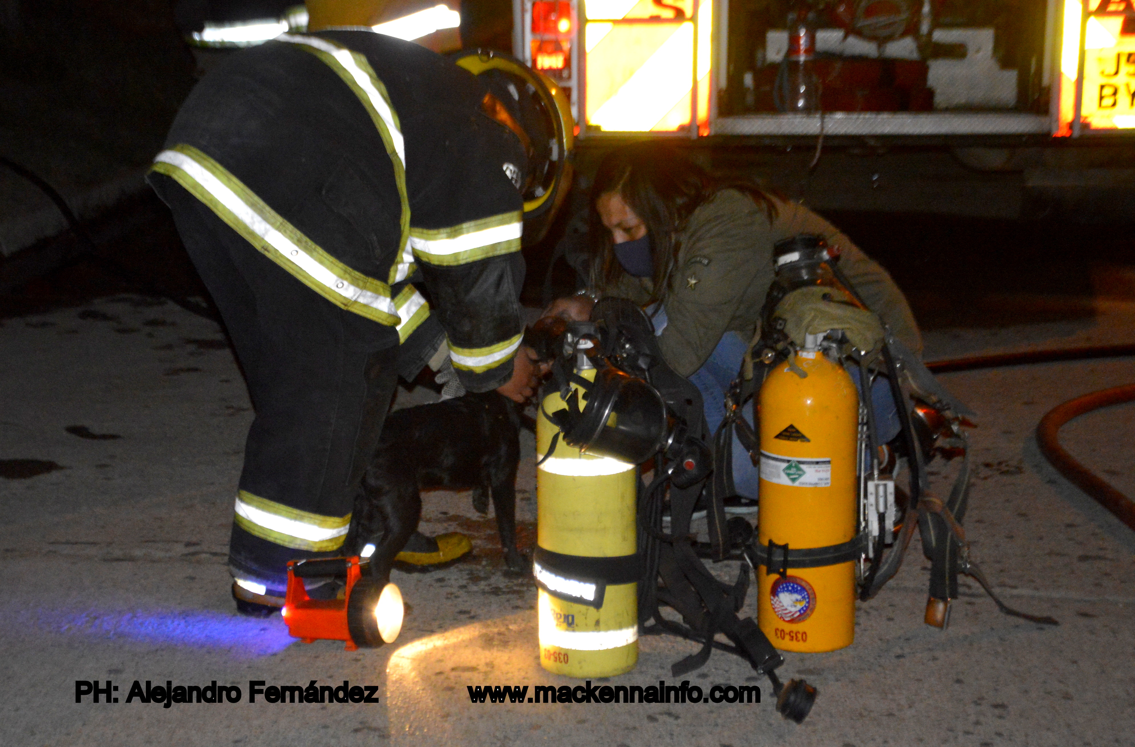 Andy Berreta, la joven bombera que rescató a un perrito en medio del incendio en una casa