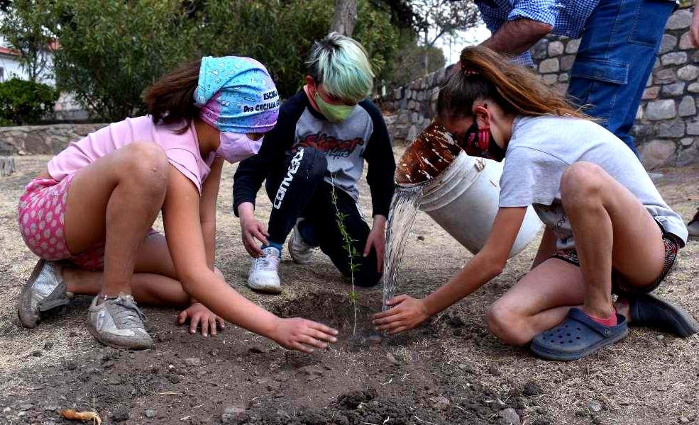 Forestando Córdoba plantó más de 65 mil árboles en 2020
