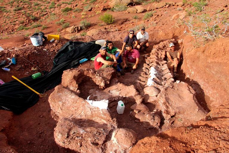 Habrían hallado en Neuquén los restos del dinosaurio más grande del mundo