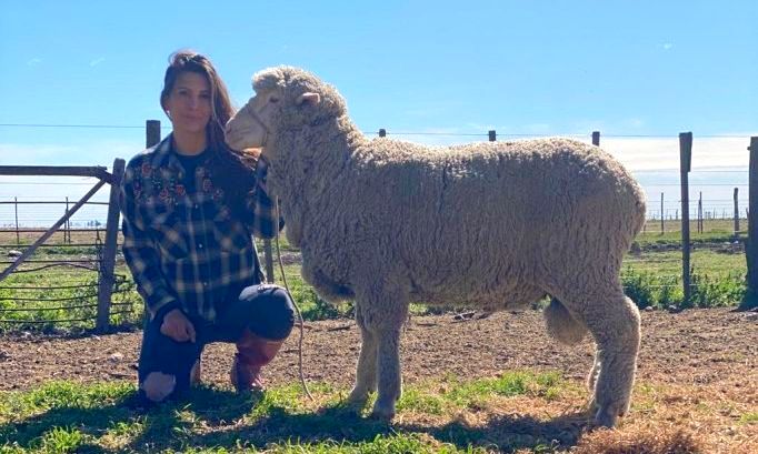Este sábado encuentro de productores ovinos en Vicuña Mackenna para comenzar a exportar