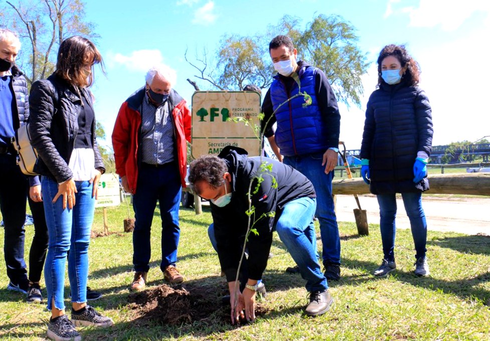 Forestando Córdoba: 1000 nuevos árboles para la Costanera sur de Río Cuarto