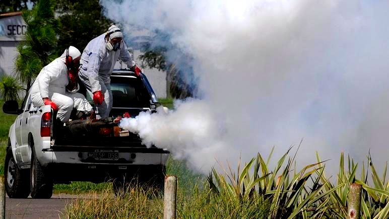 Miércoles y jueves se fumigará en Mackenna contra el mosquito Aedes aegypti 