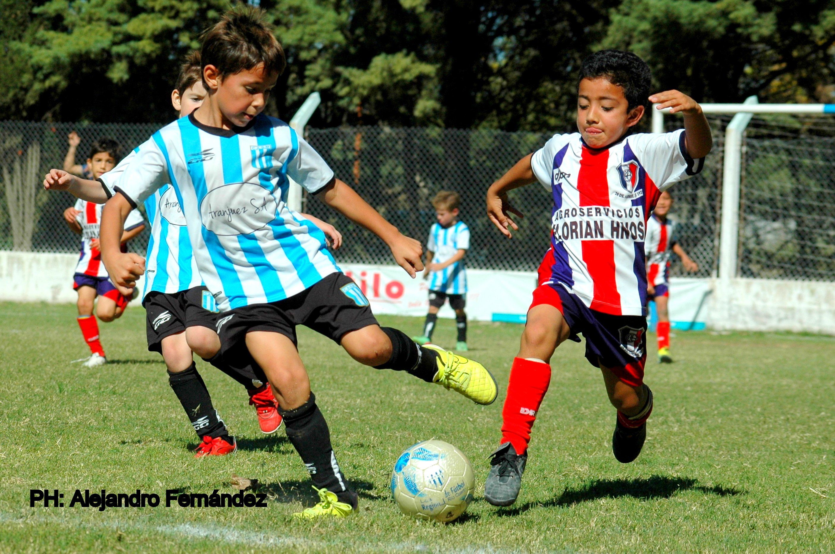 El torneo de fútbol Infanto Juvenil sigue en suspenso