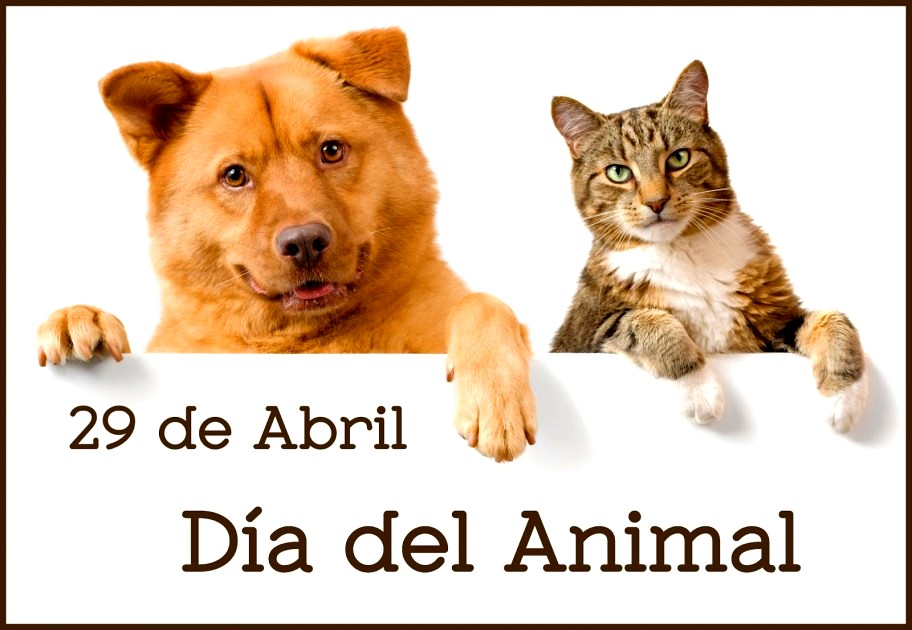29 de abril Día del Animal: alumnos de la Escuela Dr. Luis Ganem lo celebraron haciendo radio