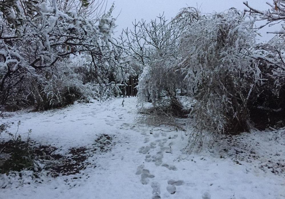 El invierno se adelantó unos días con nieve, llovizna y temperaturas bajo cero