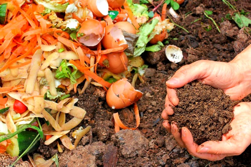 Taller de Compost y Reciclaje