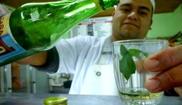 1º de agosto: la caña con ruda se toma en ayunas