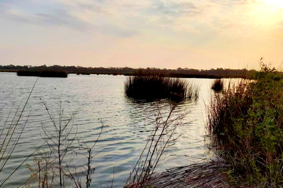 Policía Ambiental rastrea la presencia de crías de yacaré en laguna Las Mojarras