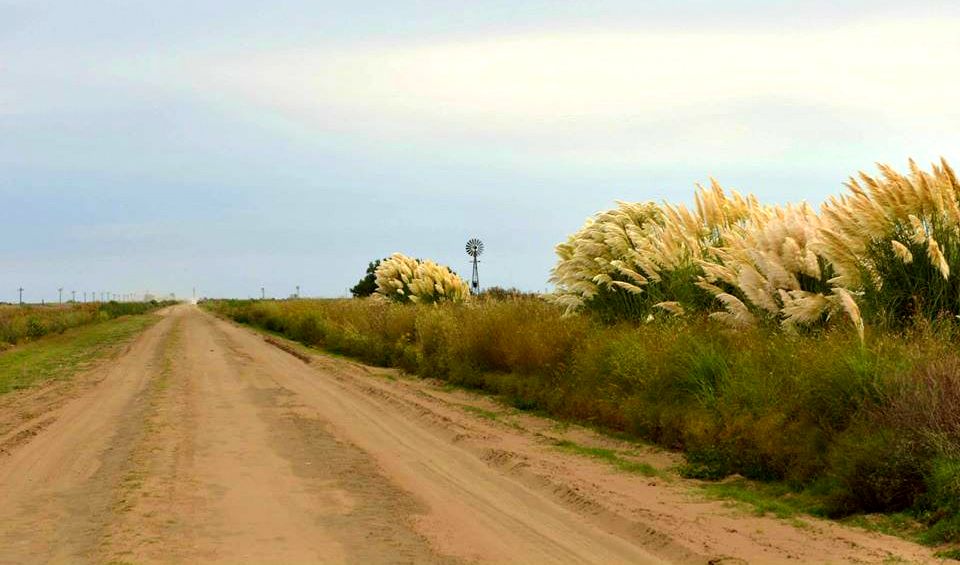 Caminos Rurales: se asfaltarán 20,4 kilómetros en Villa Huidobro