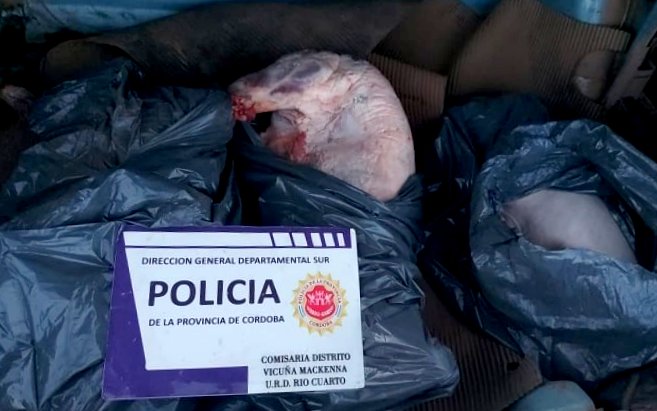 En Mackenna imputan a dos jóvenes por un caso de faena clandestina