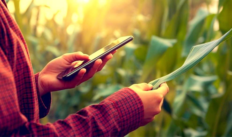 Se lanzó el Programa Impulso a Emprendimientos Agtech 2022