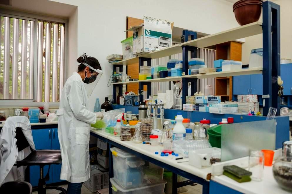 Reconocimiento Mujeres en Ciencia: postulaciones hasta el 4 de febrero